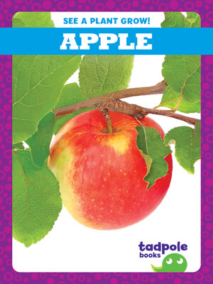 Apple - ebook